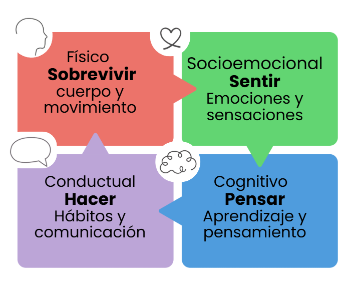 Niveles del ser humano